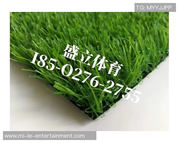 标准足球场草皮的种植与养护技巧解析及其对比赛质量的影响